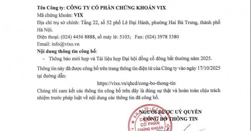 VIX chốt ngày họp ĐHĐCĐ bất thường, bầu thay thế 1 thành viên HĐQT