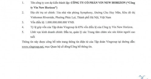 Vingroup sẽ có thêm công ty con vốn nghìn tỷ