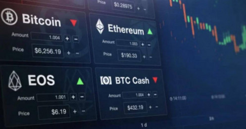 “Tay chơi” mới muốn bước vào thị trường tài sản số: Tham vọng doanh thu 1.000 tỷ, thực tế chỉ có 2 nhân viên và lỗ trăm tỷ