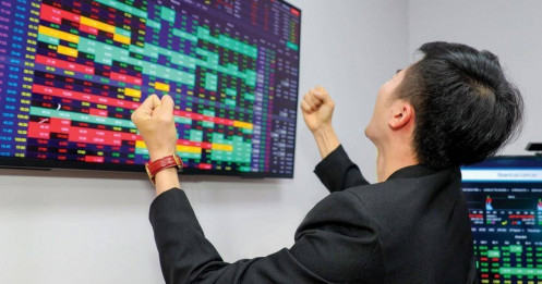 Cập nhật BCTC quý 3/2025 ngày 20/10: DN họ PVN báo lãi giảm 22%, công ty cơ khí lãi tăng 120%