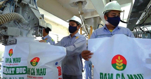 DCM hóa giải thách thức