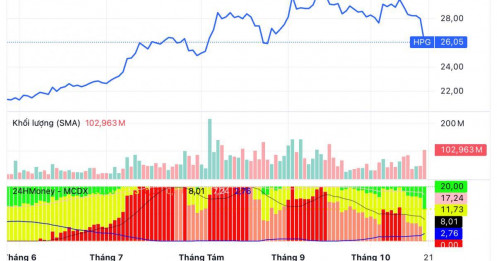 HPG giảm kịch sàn, vốn hóa thị trường chỉ còn hơn 213.000 tỷ đồng
