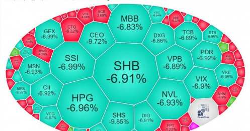 Chứng sĩ FOMO phiên 16/10 'ngấm đòn' khi hàng T+2 về tài khoản