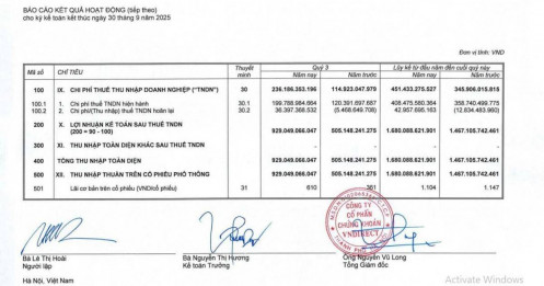 VNDirect (VND) lãi cao nhất lịch sử, tự doanh gom hàng trăm tỷ MSN, REE, HSG, MWG