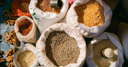 Tổng quan nông sản: Xuất khẩu lúa mì và đậu tương Mỹ khởi sắc, ngô đối mặt thách thức cung–cầu