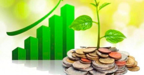 Cập nhật BCTC quý 3/2025 sáng ngày 21/10: HAGL, VNDirect, Vosco... cùng hàng loạt doanh nghiệp lớn ồ ạt công bố