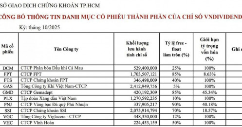 FPT, DCM, GAS, PNJ… góp mặt trong chỉ số VNDIVIDEND kỳ đầu tiên của HOSE