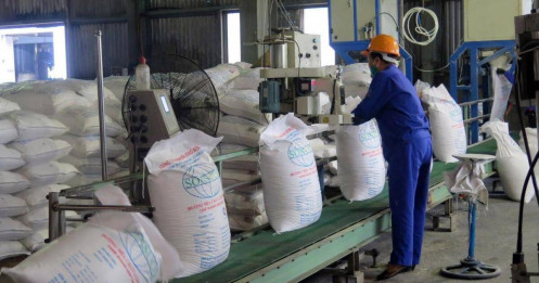 5 doanh nghiệp trúng đấu giá hạn ngạch nhập khẩu 100.000 tấn đường