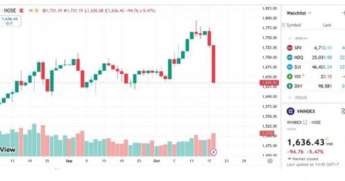 CTCK nhận định gì về rủi ro thủng 1600 điểm sau phiên giảm lịch sử?