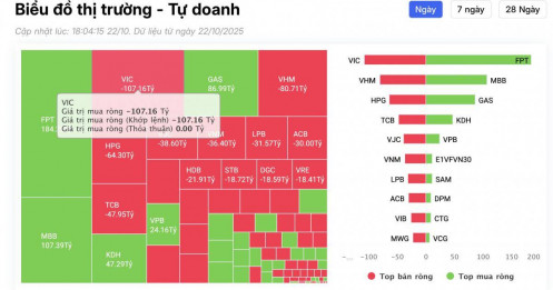 Tự doanh quay đầu bán ròng gần 200 tỷ đồng trong phiên 22/11, cổ phiếu nào là tâm điểm "xả hàng"?