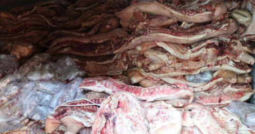 Bàng hoàng kho đông lạnh trữ hơn 37 tấn thịt lợn nhiễm vi rút gây bệnh dịch