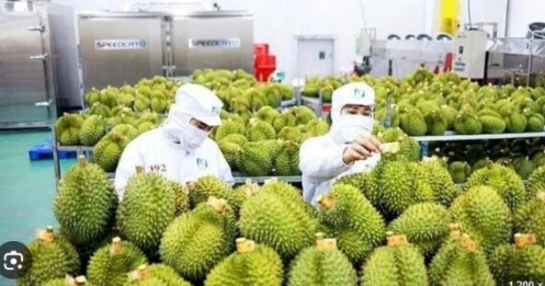 Trung Quốc ra quy định mới về nhập khẩu nông sản