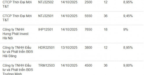 Gần 1 tỷ USD trái phiếu 'chảy' về một tập đoàn lớn