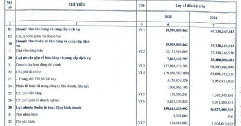 Nhà Đà Nẵng lãi đậm với cổ phiếu VHM