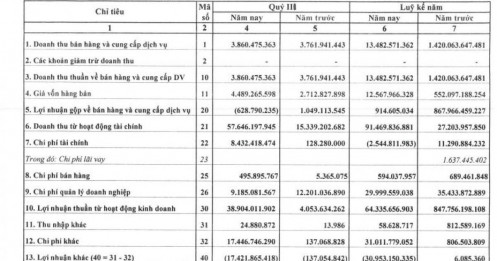 Một doanh nghiệp BĐS thoát lỗ ngoạn mục nhờ đầu tư chứng khoán