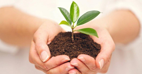 Vì sao bạn nên nghĩ điều tốt đẹp đang đến, kể cả khi chưa có bằng chứng?