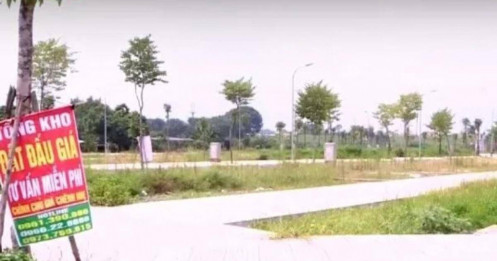 Đấu giá rồi bỏ cọc có thể bị cấm tham gia đến 5 năm