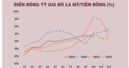 Áp lực tỷ giá hạ nhiệt trong quí cuối năm?