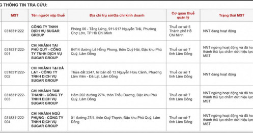 Lộ diện loạt doanh nghiệp liên quan vợ chồng Ngân 98 – Lương Bằng Quang, nhiều nơi ngừng hoạt động