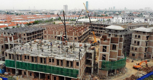 Sự thật đằng sau chiêu thức "bán lúa non"