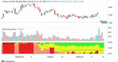 Nhà đầu tư chờ đợi gì từ NVL sau kết luận thanh tra gây sốc?
