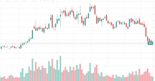 VCI tụt dốc, VN-Index 'đi ngang': Chuyện gì đang xảy ra?