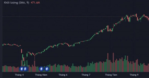 TTCK Việt có phù hợp để đầu tư dài hạn?