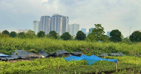 Đề xuất gắn mã định danh cho từng dự án bất động sản