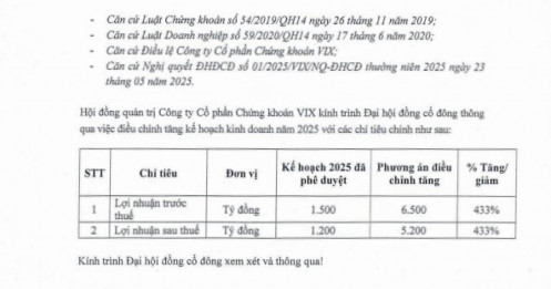VIX muốn nâng kế hoạch lợi nhuận năm 2025 gấp hơn 4 lần