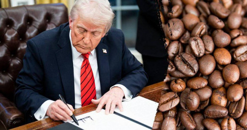Từ bàn đàm phán Washington đến những nông trại cà phê Tây Nguyên, làn sóng thuế mới của Trump có thể khiến giá cà phê Việt Nam đổi chiều chỉ sau một đêm