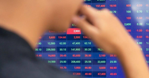 Lợi nhuận 460 triệu USD, chứng khoán củng cố nền tảng cho 2026