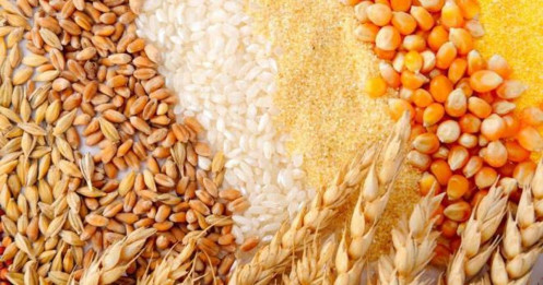 Mỹ – Ấn Độ Tiến Gần Thỏa Thuận Thương Mại Lớn: Cơ Hội Cho Nông Sản, Áp Lực Cho Nhóm Kim Loại