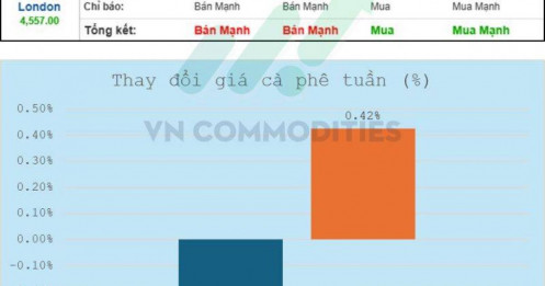 Toàn cảnh thị trường cà phê tuần 20/10 - 24/10/2025