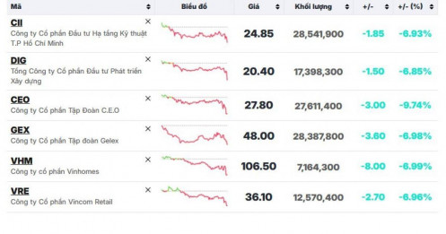 VHM, VRE, GEX, DIG... bất ngờ giảm sàn cuối phiên
