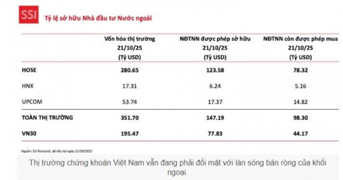 TTCK Việt không kém hấp dẫn, nhưng quy mô và thanh khoản thị trường khác vượt trội