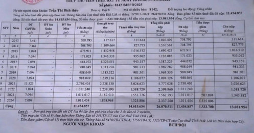 Truy thu tiền thuê đất của hàng trăm công nhân, lãnh đạo Công ty cà phê 719 nói gì?