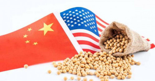 Tại sao đậu nành là đòn bẩy cho Trung Quốc trong cuộc chiến thương mại với Hoa Kỳ