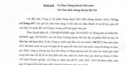 Một doanh nghiệp họ FLC nỗ lực trở lại sau biến cố, lãnh đạo khẳng định 'thời gian khó khăn nhất đã qua'