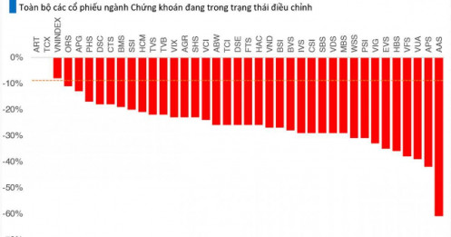 Khi điều chỉnh xuất hiện tại 100% cổ phiếu ngành chứng khoán
