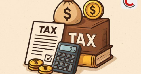 Cá nhân cho thuê nhà, cho thuê tài sản có doanh thu dưới 100 triệu đồng mỗi năm có phải nộp thuế không?