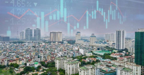 Cổ đất bước vào giai đoạn sàng lọc và phục hồi thực chất