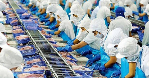 ANV – Cập nhật báo cáo Q3/2025