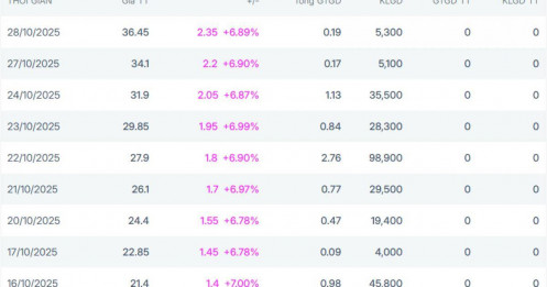 Báo lãi tăng hơn 1.200% trong quý III, 1 cổ phiếu tím trần 9 phiên liên tiếp bất chấp VN-Index điều chỉnh