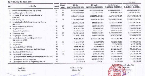 Lợi nhuận sau thuế niên độ 2024 - 2025 của Hoa Sen đạt 732 tỷ đồng