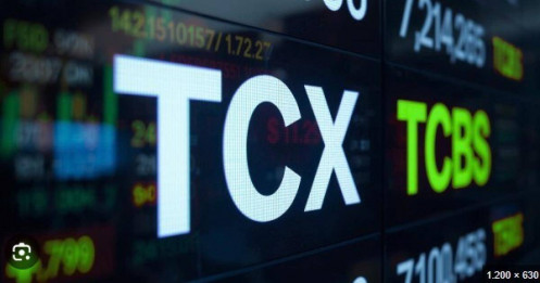 TCX lọt rổ MSCI Global Standard chỉ sau 10 ngày niêm yết