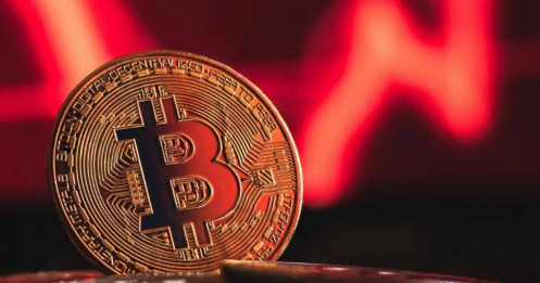 Loạt tiền điện tử quay đầu sau quyết định hạ lãi suất của Fed