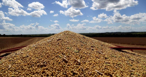 Mỹ - Trung tạm “đình chiến thương mại”: Giảm thuế, gỡ cấm vận đổi lấy đất hiếm và đậu nành