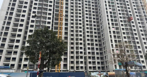 Bất động sản Hà Nội quý 3/2025: Căn hộ “cháy hàng”, biệt thự liền kề tăng giá 5-8%