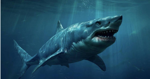 Danh mục đầu tư gần 10 tỷ USD của 1 ‘cá mập' Nhà nước