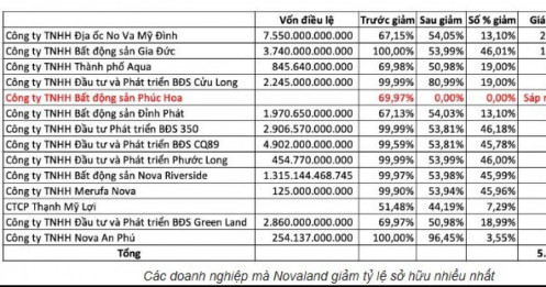 NVL thoái vốn loạt công ty con